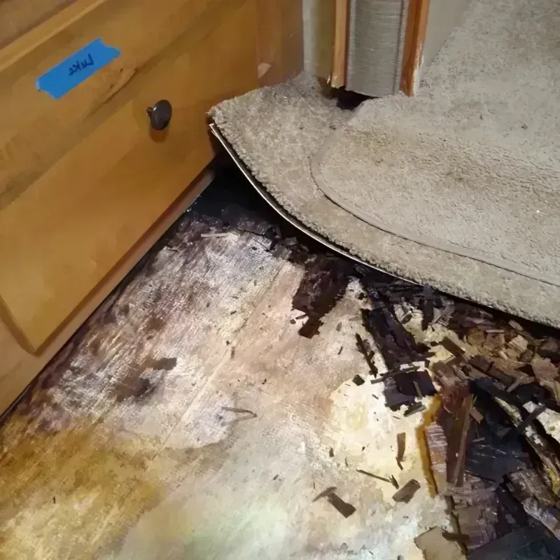 Wood Floor Water Damage in Cape May County, NJ